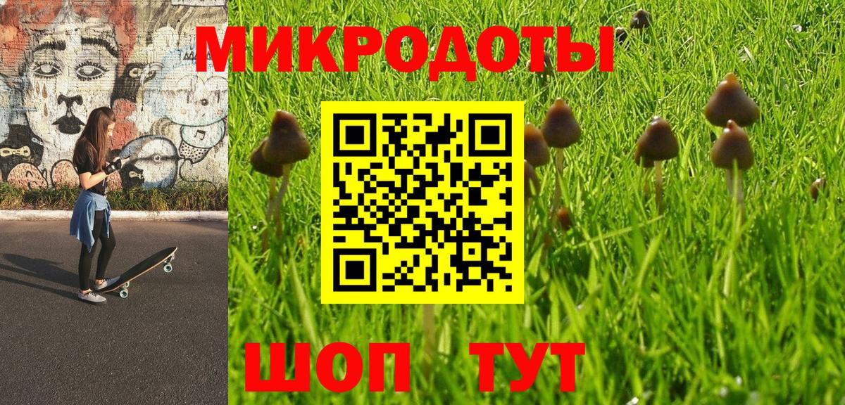 Люберцы  Псилоцибиновые грибы мицелий  Вход с VPN 